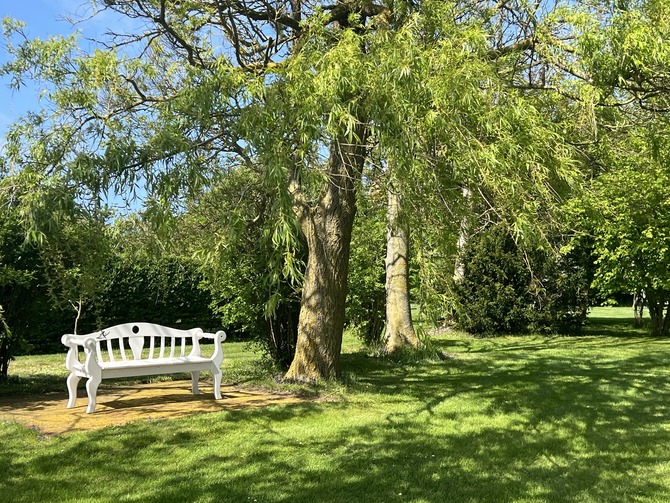 Ferienwohnung in Fehmarn OT Westermarkelsdorf - Pension Seestern - Bild 9