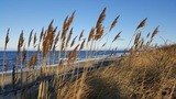 Ferienwohnung in B&ouml;rgerende - Baltic Sky - In Villa Strandperle Nr.1 - Bild 21