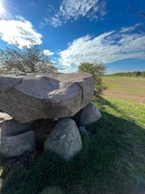 Ferienwohnung in Rerik - Ferienwohnung Meeresblick Rerik - Bild 23