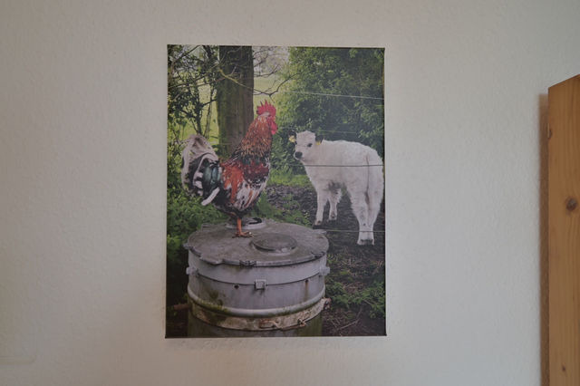 Ferienwohnung in Fehmarn OT Katharinenhof - Ferienhof Augustenh&ouml;he - Haus am Feld Nr.5 - Bild 15