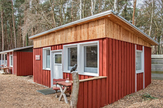 Ferienhaus in Ückeritz - Albatros - Bild 3