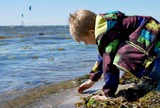Ferienwohnung in Fehmarn - Knusthof Lafrenz - Nordlicht - Bild 15