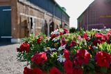 Ferienwohnung in Fehmarn - Knusthof Lafrenz - Nordlicht - Bild 16