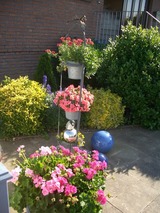 Ferienwohnung in S&uuml;ssau - Wiese - Bild 15