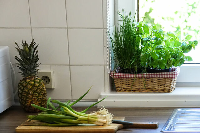 Ferienhaus in Gelting - Alte Wasserm&uuml;hle - Schloss Gelting - Bild 9