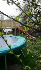 Ferienwohnung in Fehmarn OT Sahrensdorf - Ferienwohnung Himmelblau auf dem Ferien + Bauernhof Nielson in Bisdorf in Inselmitte - Bild 10