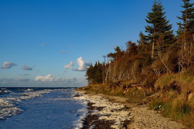 Ferienwohnung in Graal-M&uuml;ritz - Stranddistel - Bild 18