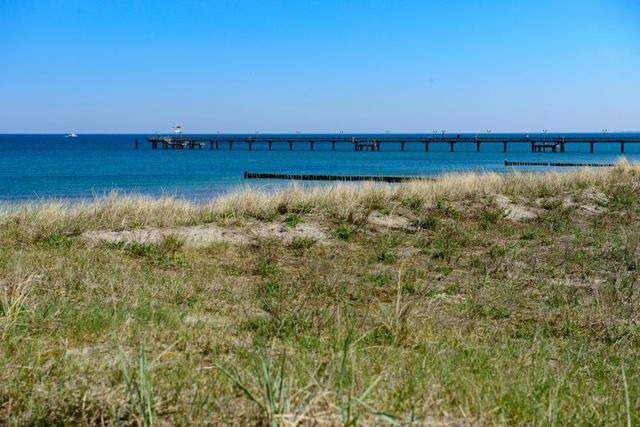 Ferienwohnung in Graal-M&uuml;ritz - Stranddistel - Bild 22