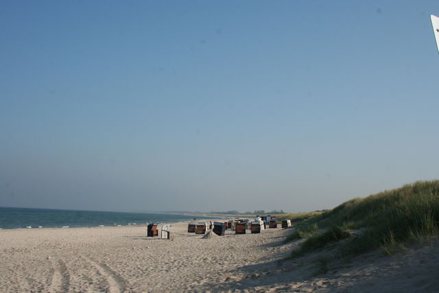 Ferienwohnung in Dierhagen - Lachm&ouml;we App. 35 - Bild 19