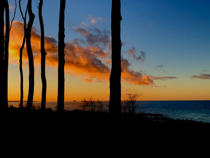 Ferienwohnung in Ostseebad Nienhagen - Ferienwohnung Poschmann - Steilk&uuml;ste