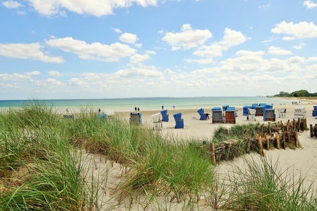 Ferienwohnung in Klein Wittensee - Hof Wittensee, Seegefl&uuml;ster - Bild 25