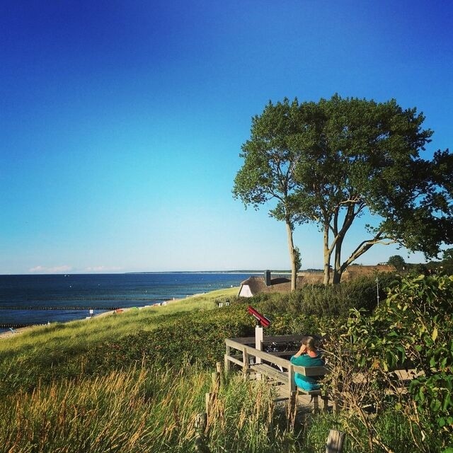 Ferienwohnung in Zingst - Beachbreak - Bild 25