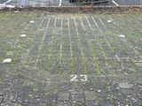 Ferienwohnung in Gr&ouml;mitz - Atlantic 23 - Bild 11