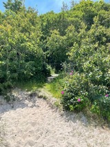 Ferienwohnung in K&uuml;hlungsborn - App. 11 - Hunde erlaubt, Strandresidenz D&uuml;nenperle - Bild 19