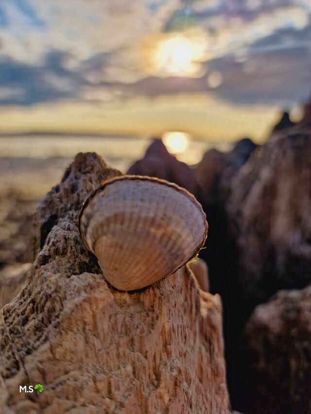 Ferienwohnung in Kiel - Design Appartement Sch&ouml;nfeld - Bild 22