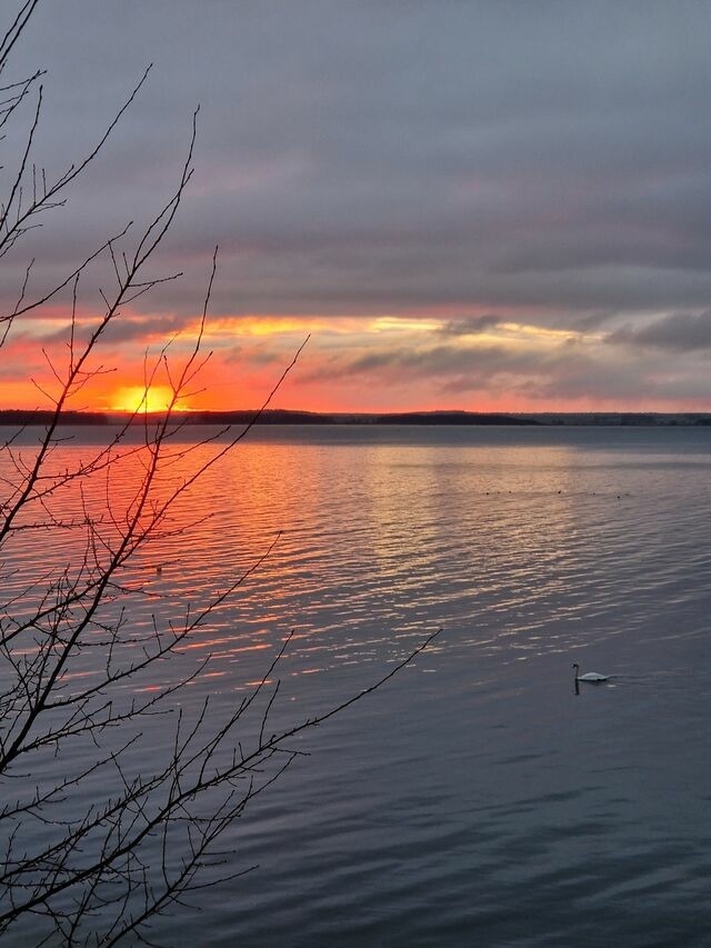 Ferienhaus in L&uuml;tow - Ferienhaus K&ouml;hler Am Achterwasser , Urlaub mit Hund - Bild 22