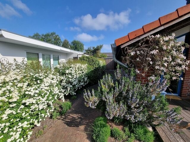 Ferienhaus in Ostseeheilbad Zingst - Kurs Nordost - Bild 17