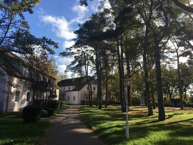 Ferienwohnung in Dierhagen - Ferienwohnung Strandd&uuml;ne 117 - Bild 16