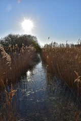 Ferienwohnung in Dierhagen - Ferienwohnung M&ouml;we - Bild 21