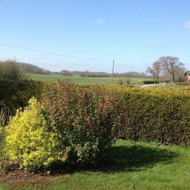 Ferienhaus in Hasselberg - Ferienhaus Knorrl&uuml;ck - Bild 17