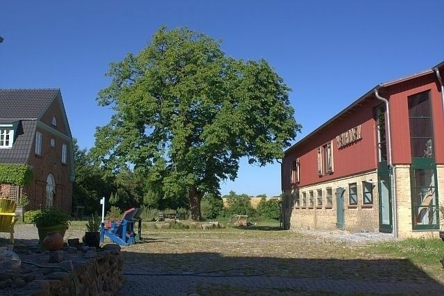 Doppelzimmer in Ulsnis - Putbrese Hof - Doppelzimmer Pferdestall - Bild 11