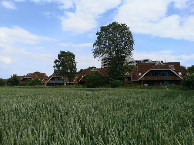 Ferienwohnung in Dahme - Jacobihof Haus 15 Wohnung 04 - Bild 6