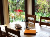Ferienhaus in Kellenhusen - Ferienhaus Allegra 1 - Bild 8