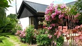 Ferienhaus in Kellenhusen - Ferienhaus Allegra 1 - Bild 24