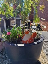 Ferienwohnung in Fehmarn OT Burg - Haus Fehmarn am Dorfteich | Wohnung 3 Nord - Bild 11