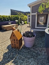 Ferienwohnung in Fehmarn OT Burg - Haus Fehmarn am Dorfteich | Wohnung 3 Nord - Bild 12