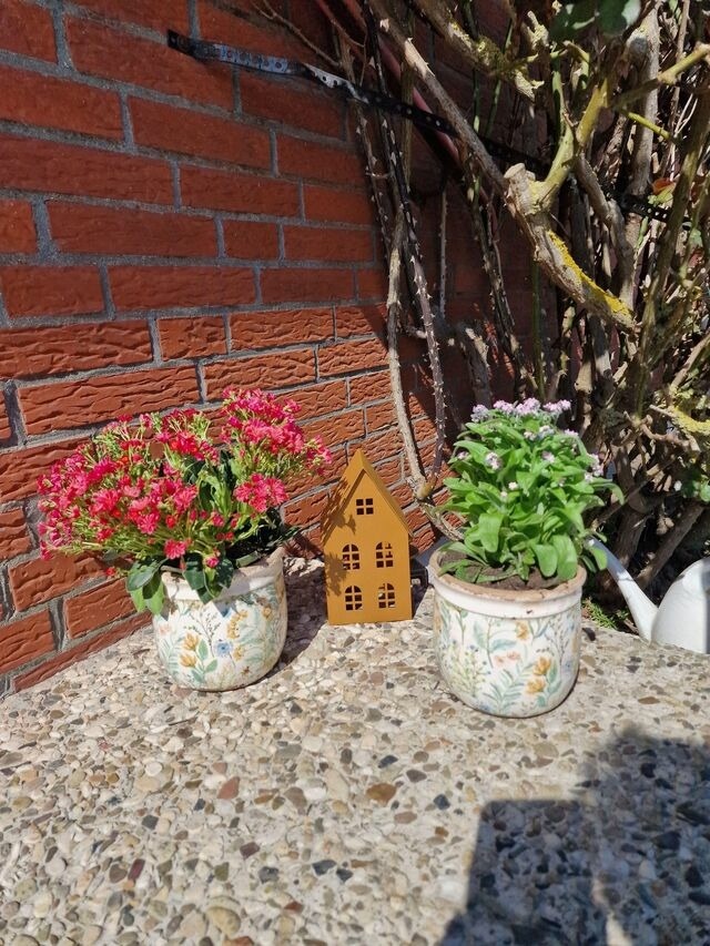 Ferienwohnung in Fehmarn OT Burg - Haus Fehmarn am Dorfteich | Wohnung 3 Nord - Bild 13