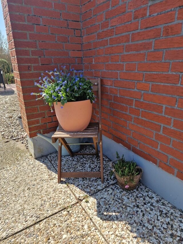 Ferienwohnung in Fehmarn - Haus Albertsdorf am Dorfteich | Wohnung 1 Süd - Bild 23