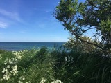 Ferienwohnung in Fehmarn OT Staberdorf - Strandapartment mit Meerblick - Bild 19