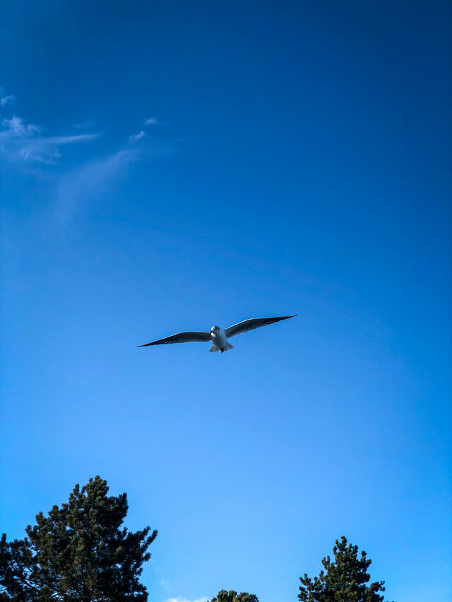 Ferienwohnung in Gl&uuml;cksburg - Ferienwohnung Sailing - Bild 23