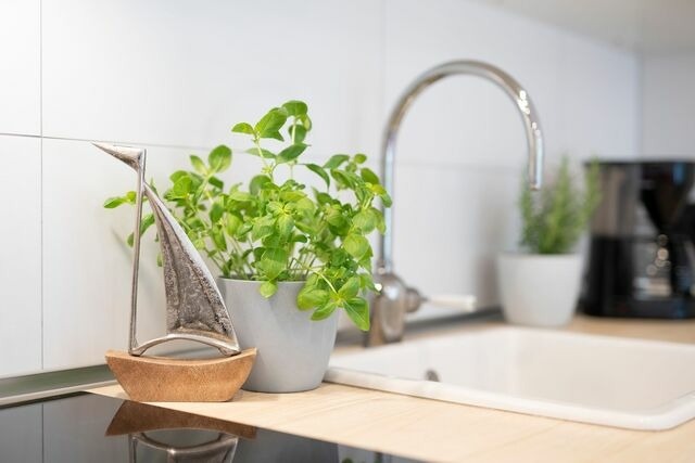 Ferienwohnung in Gr&ouml;mitz - Reiher 1 S&uuml;d - Bild 9