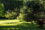 Ferienwohnung in Hageb&ouml;k - Ferienwohnung Thiedmann - Bild 18