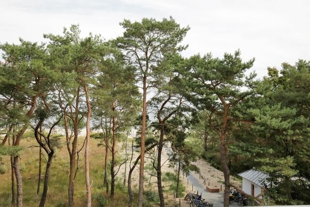Ferienwohnung in Ahlbeck - (Brise) Strandresidenz Else Marie App. 3.3 - Bild 13