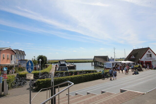 Ferienwohnung in Ostseeheilbad Zingst - Ferienwohnung B&ouml;ttcher - Bild 15