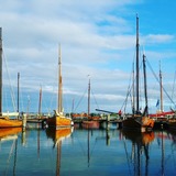 Ferienwohnung in Ostseeheilbad Zingst - Ferienwohnung B&ouml;ttcher - Bild 20