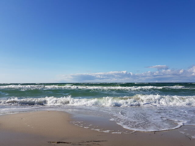 Ferienwohnung in Ostseeheilbad Zingst - Ferienwohnung B&ouml;ttcher - Bild 24