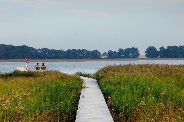 Ferienwohnung in Neuenkirchen (R&uuml;gen) - Gutshaus Grubnow Ferienwohnung 3 - Bild 18