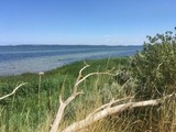 Ferienhaus in Hohen Wieschendorf - Strandhaus Fiete - Haus Poelblick - ABC247 - Bild 21